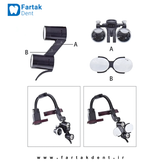 loop-model-woodp-dental