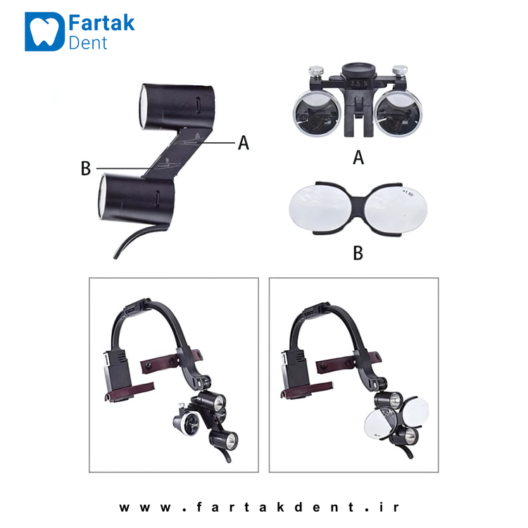 loop-model-woodp-dental