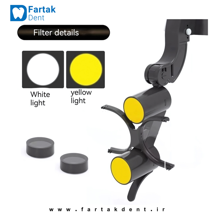 loop-model-woodp-dental