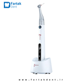 endo-pace-woodpecker