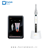 endo-pace-woodpecker