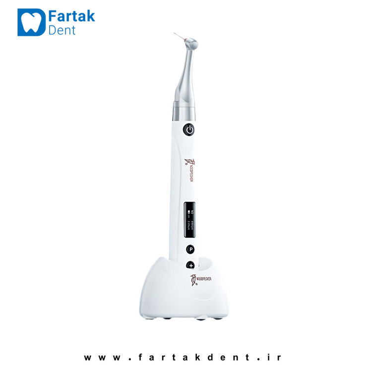 Endo Rotary Woodpecker Endo Free