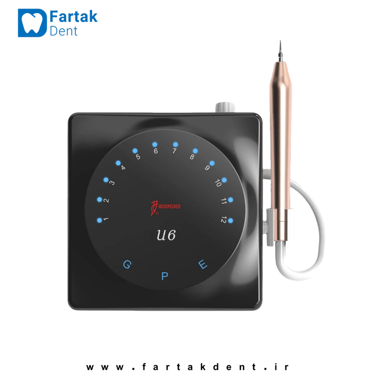 Ultrasonic Woodpecker U6 Led