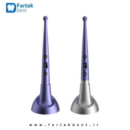 لایت کیور وودپیکر