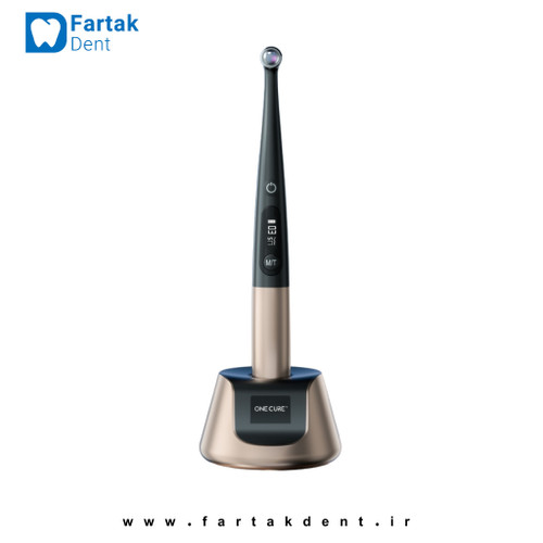 لایت کیور وودپکر